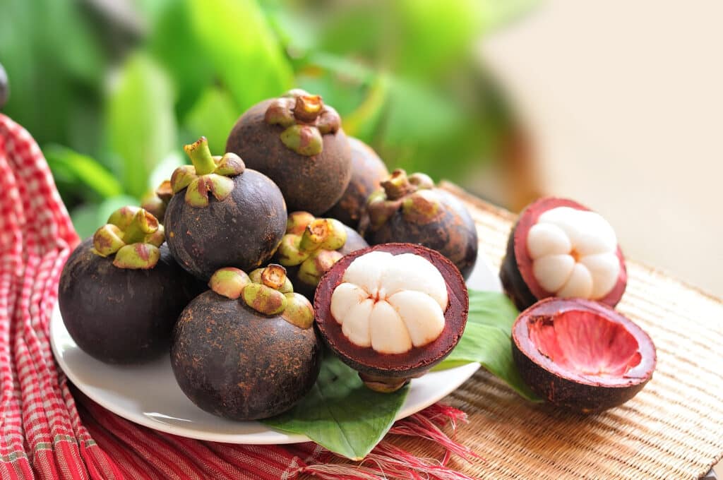 le-fruit-mangoustan