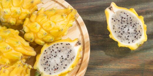 le-fruit-du-dragon-sental