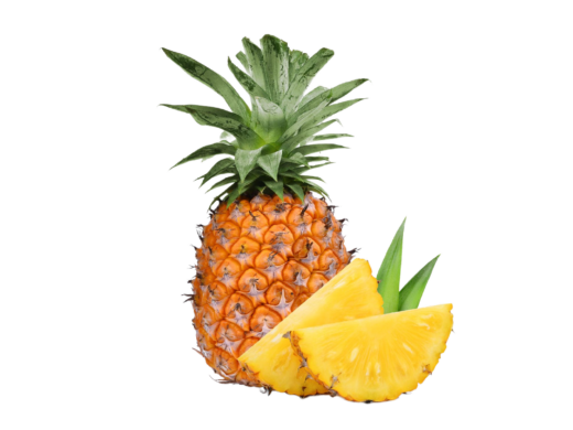 Nous exportons des fruits frais de qualité tout au long de l&#8217;année.